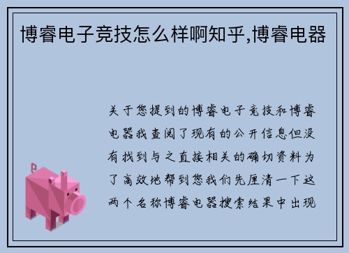 博睿电子竞技怎么样啊知乎,博睿电器